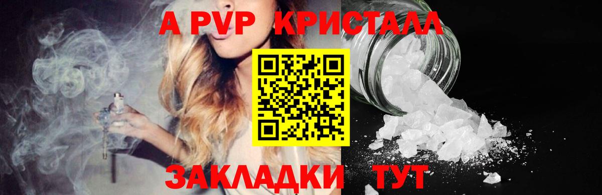 A-PVP СК Петропавловск-Камчатский