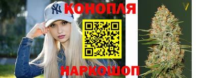 индика Пугачёв