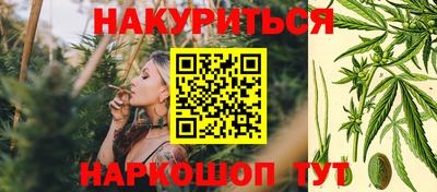 индика Пугачёв