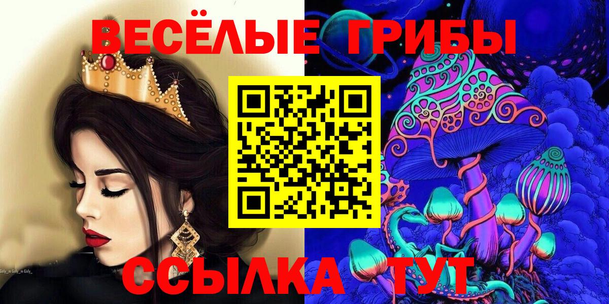 Псилоцибиновые грибы MAGIC MUSHROOMS  Псилоцибиновые грибы MAGIC MUSHROOMS  Петропавловск-Камчатский  Вход с VPN 