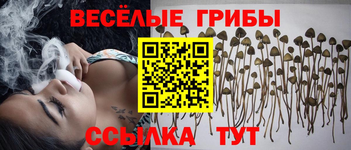 Галлюциногенные грибы ЛСД Петропавловск-Камчатский
